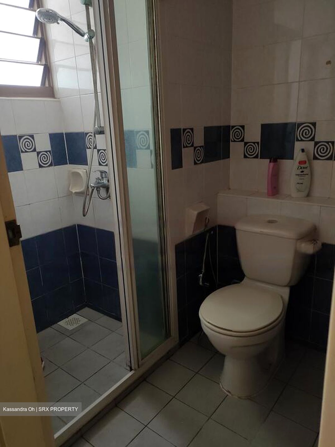 Blk 677C Edelweiss@jurong (Jurong West), HDB 5 Rooms #445171861